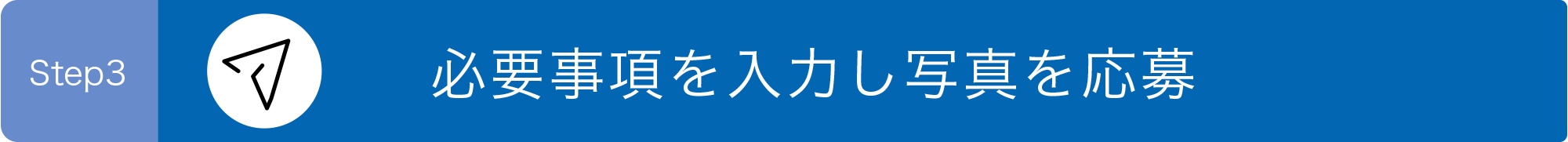 必要事項を入力し写真を応募